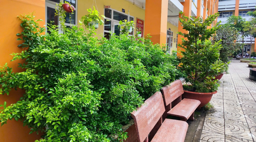 Thiết Kế Chưa Có Tên 2025 07 03t110633.960