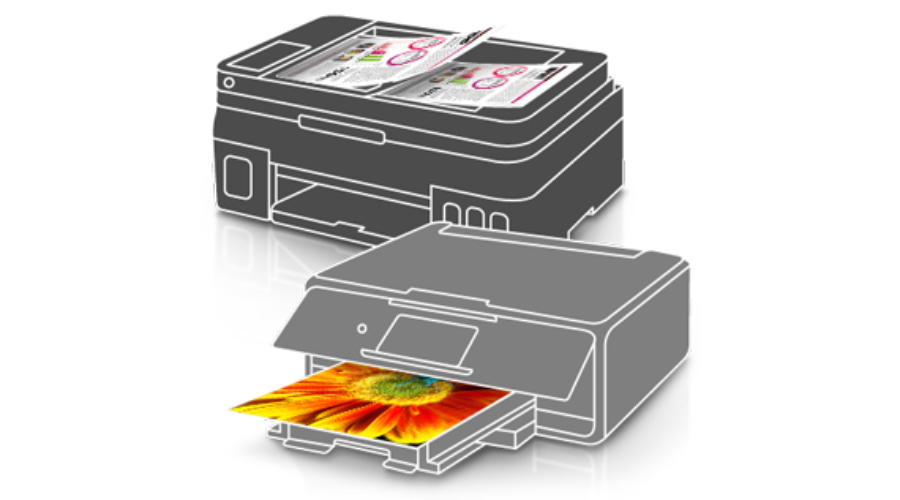 phân biết ipm và ppm
