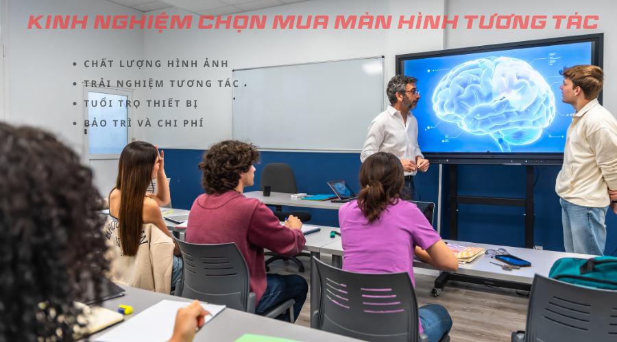 màn hình tương tác